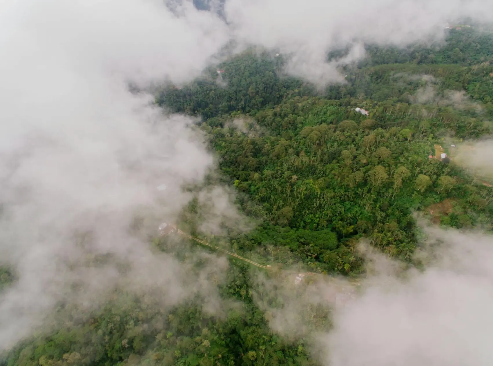 Misty Wayanad hills — Wayanad tour package, Kerala